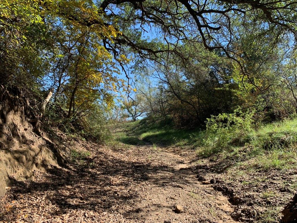 000 Highway 1689, Sidney, TX 76474