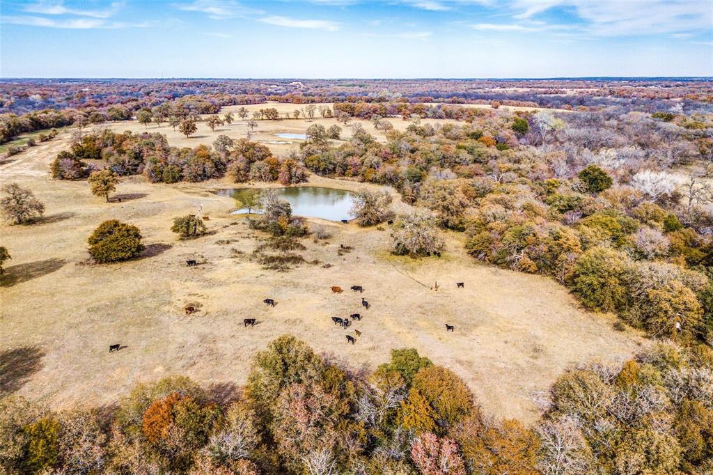 1148 County Road 1591, Alvord, TX 76225