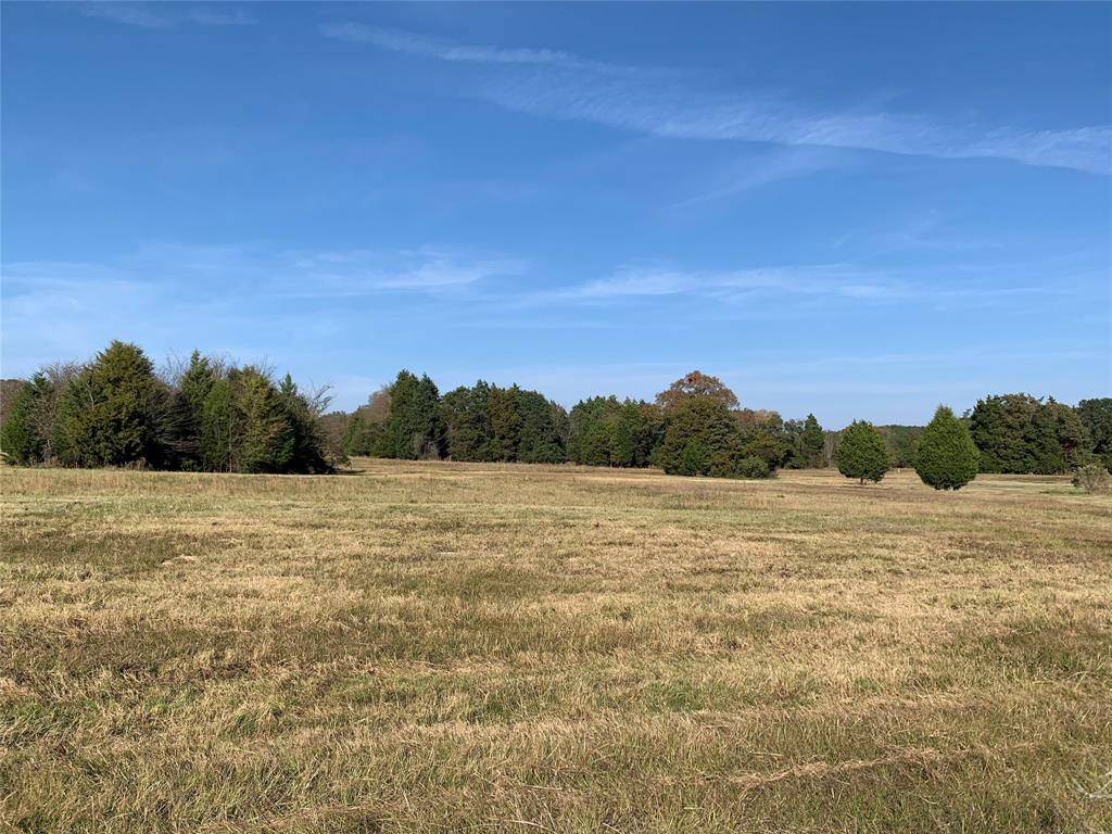 10110 FM 2709, Eustace, TX 75124