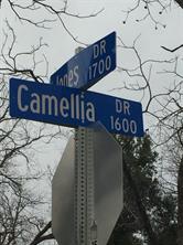 1609 Camellia, Arlington, TX, 76013