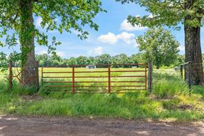 1276 County Rd 3445, Cookville, TX 75558