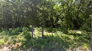 Lot 04 Private Rd 52416, Leesburg TX 75451