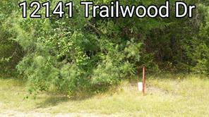 12141 Trailwood, Whitney, TX, 76692