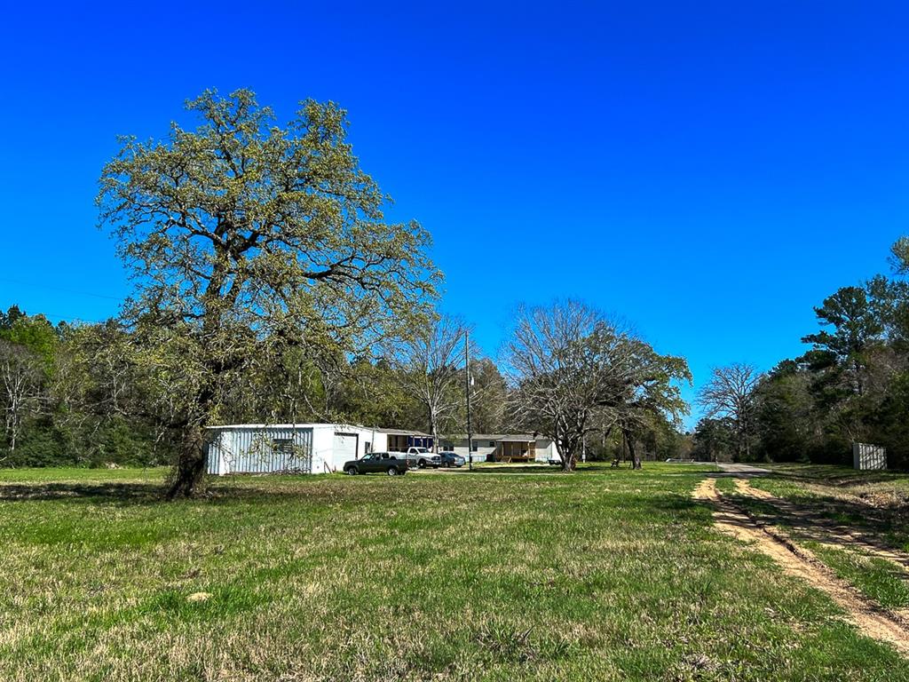 65 Vick Spring Road, New Waverly, TX 77358