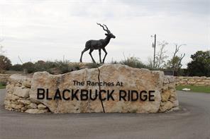 000 Blackbuck Ridge, Lampasas, TX, 76550