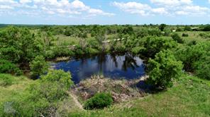 TBD County Road 421, Coleman, TX, 76834