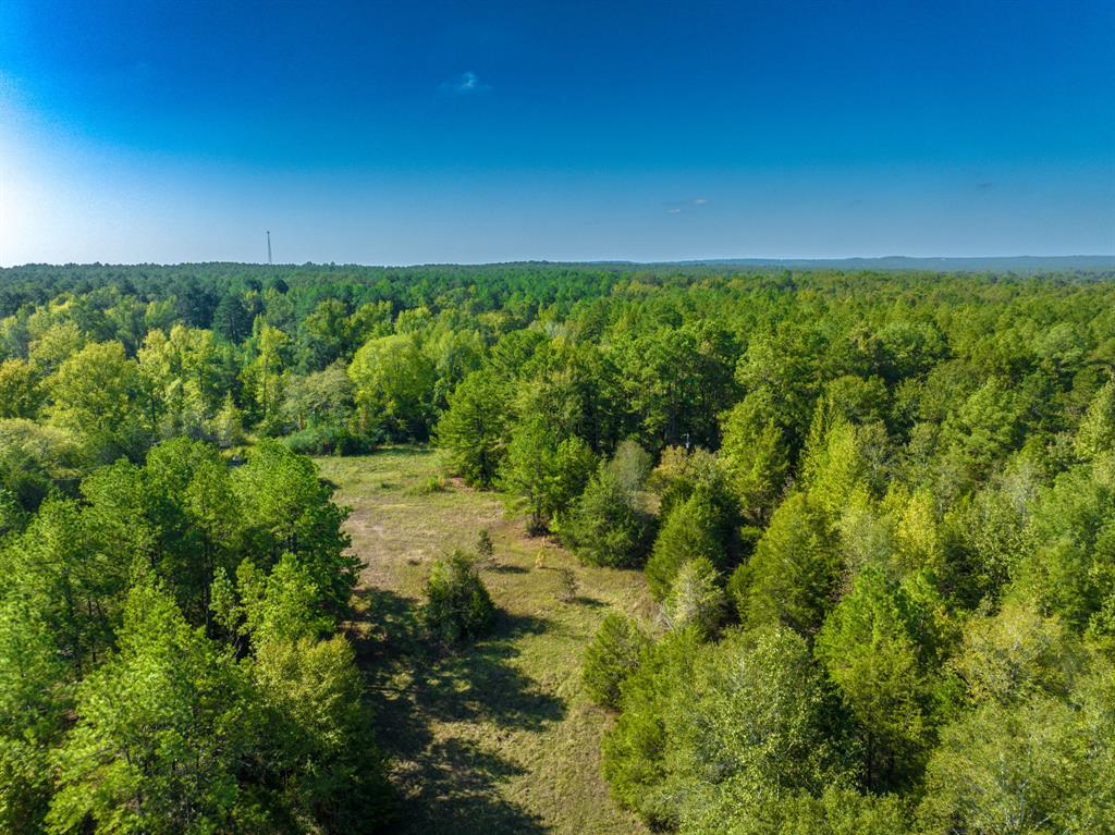 812 County Rd 1319  