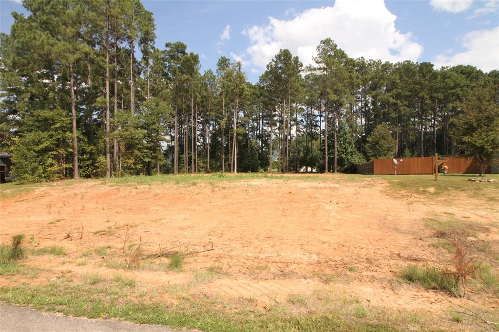 009 Castle Dale Loop  