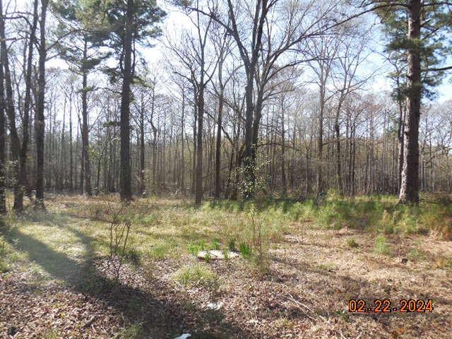 10589 Ferry Lake School Rd  