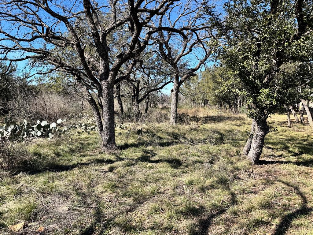 TBD Lot 70 Oak Pt Dr