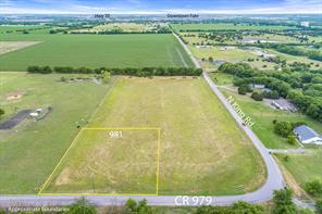 981 County Road 979, Fate, TX, 75189