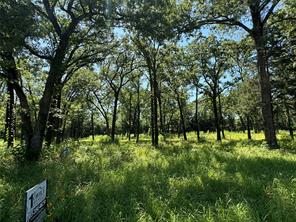 TBD Rs County Road 1503, Point, TX 75472